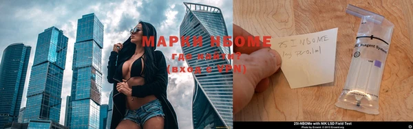 ГАЛЛЮЦИНОГЕННЫЕ ГРИБЫ Баксан