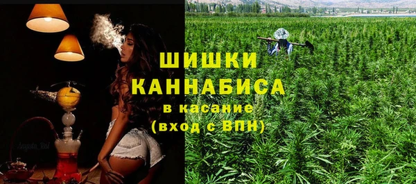 ГАЛЛЮЦИНОГЕННЫЕ ГРИБЫ Баксан